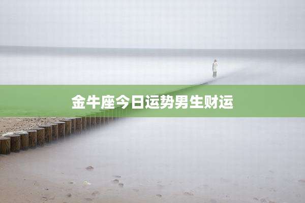 金牛座今日运势男生财运