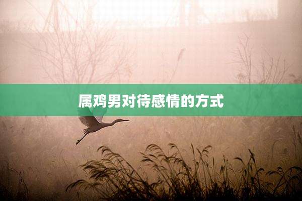 属鸡男对待感情的方式