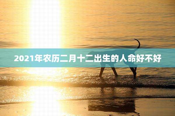 2021年农历二月十二出生的人命好不好