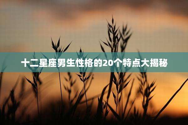 十二星座男生性格的20个特点大揭秘