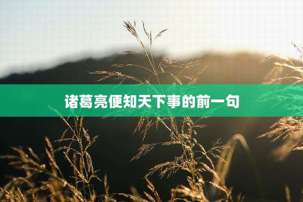 诸葛亮便知天下事的前一句