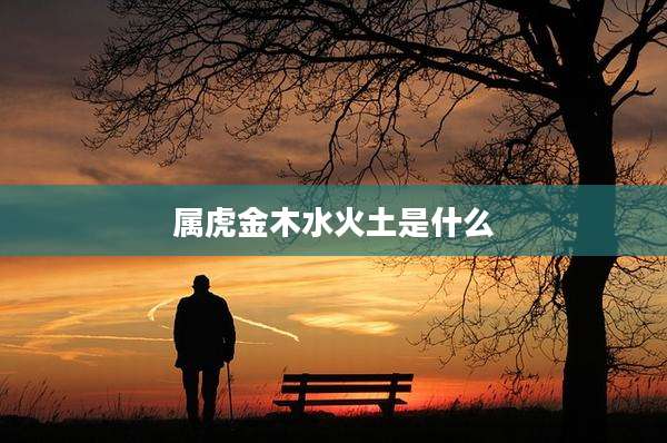 属虎金木水火土是什么