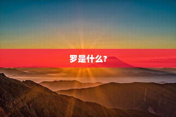罗是什么?
