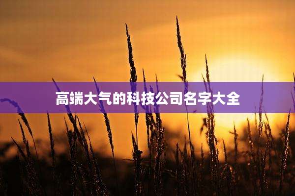 高端大气的科技公司名字大全
