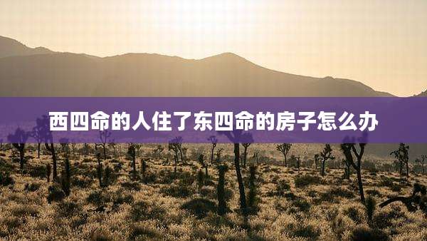 西四命的人住了东四命的房子怎么办