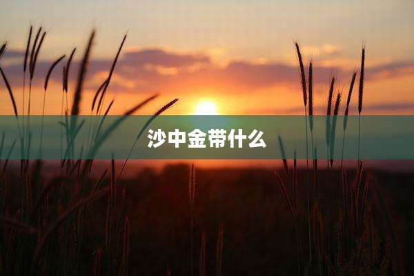 沙中金带什么