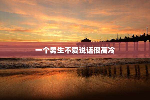 一个男生不爱说话很高冷