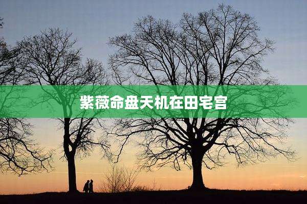 紫薇命盘天机在田宅宫