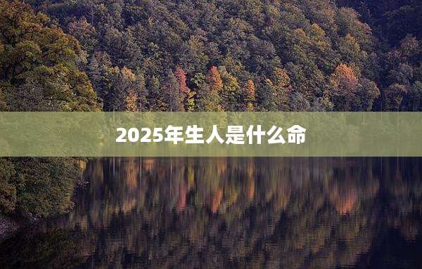2025年生人是什么命