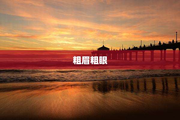 粗眉粗眼