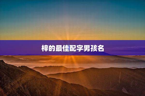 梓的最佳配字男孩名