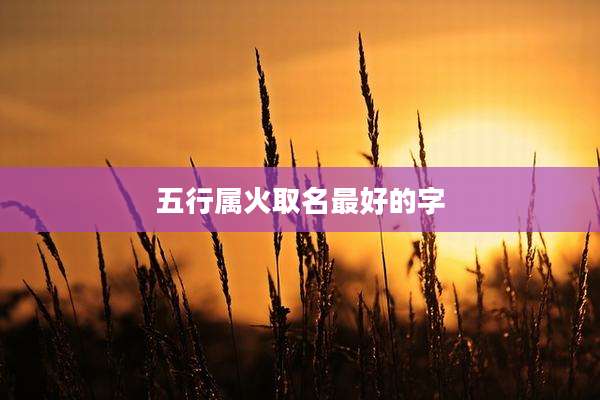 五行属火取名最好的字