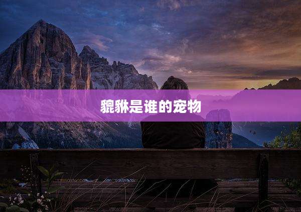 貔貅是谁的宠物