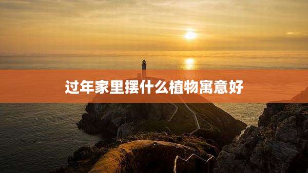 过年家里摆什么植物寓意好