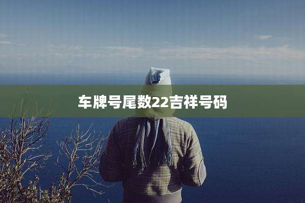 车牌号尾数22吉祥号码