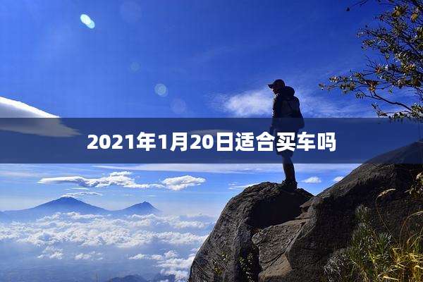 2021年1月20日适合买车吗