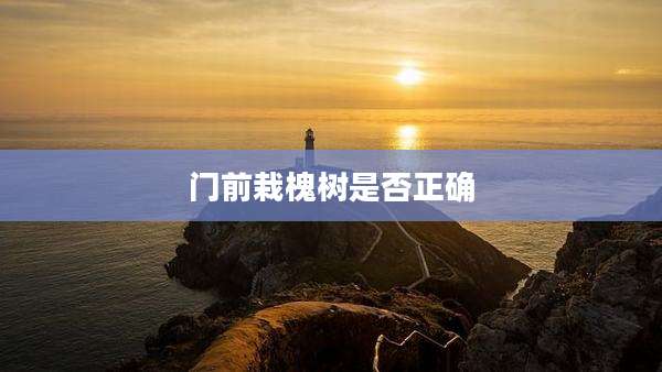 门前栽槐树是否正确