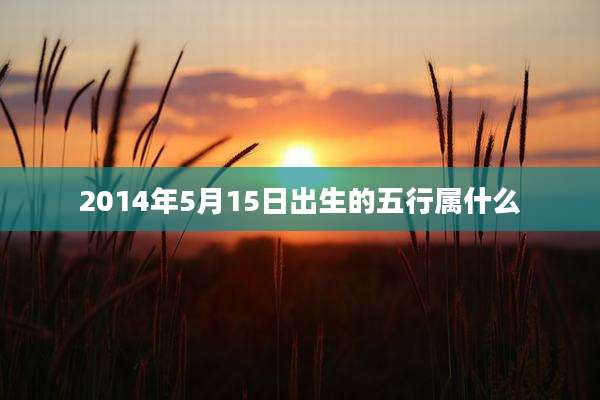 2014年5月15日出生的五行属什么