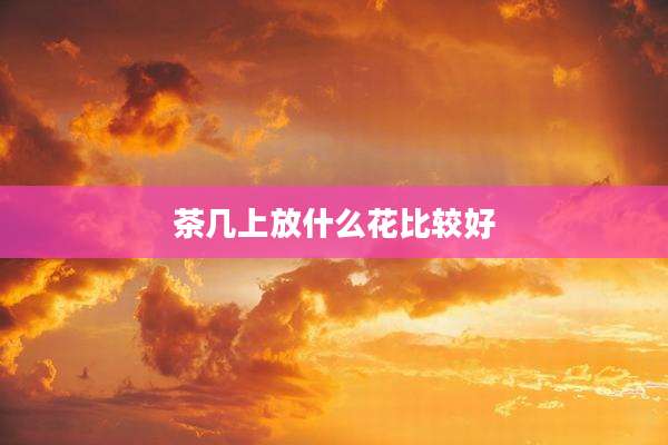 茶几上放什么花比较好