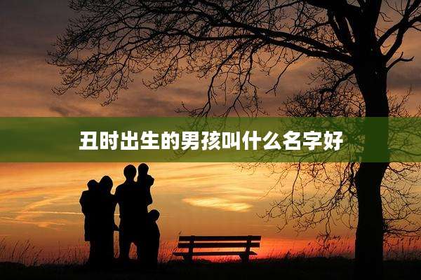 丑时出生的男孩叫什么名字好
