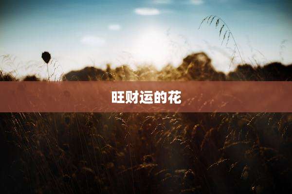 旺财运的花
