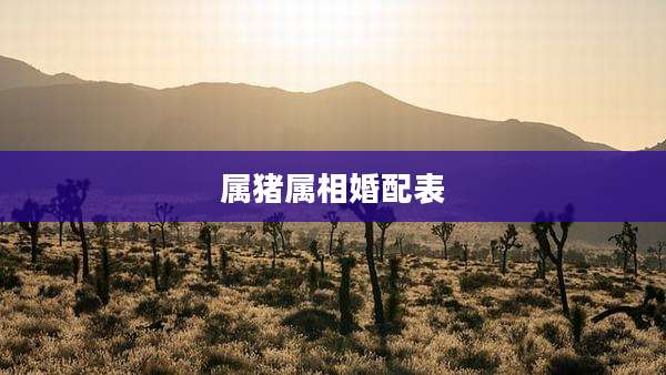 属猪属相婚配表