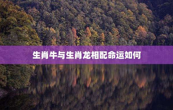 生肖牛与生肖龙相配命运如何