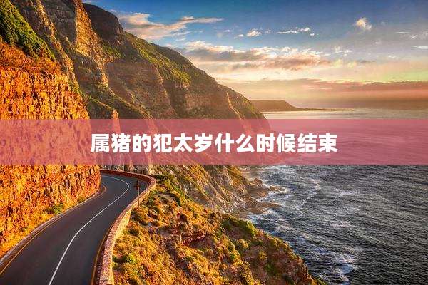 属猪的犯太岁什么时候结束