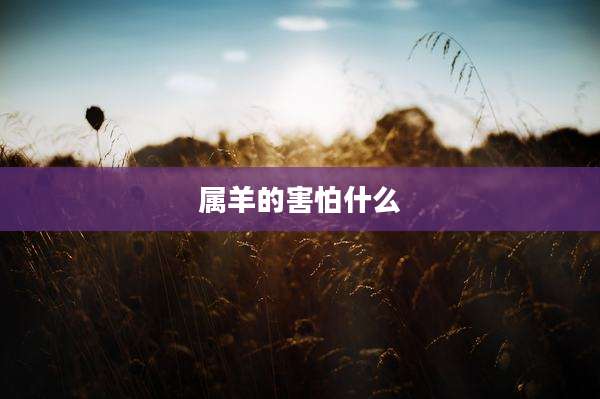 属羊的害怕什么