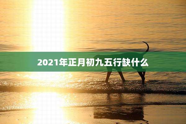 2021年正月初九五行缺什么