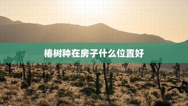 椿树种在房子什么位置好