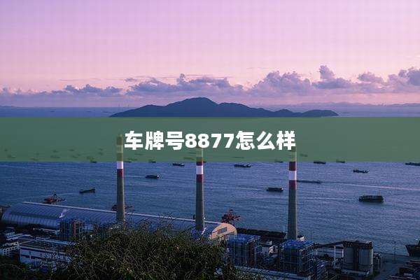 车牌号8877怎么样