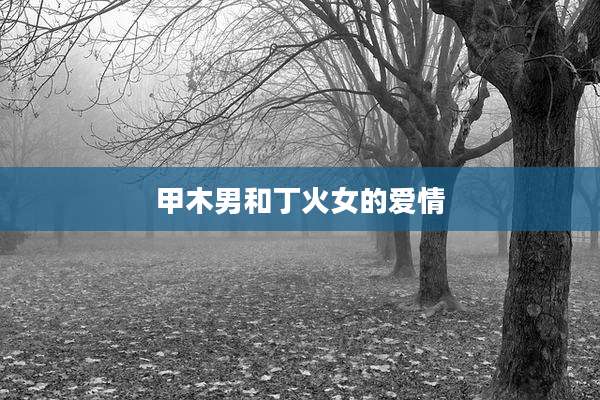 甲木男和丁火女的爱情