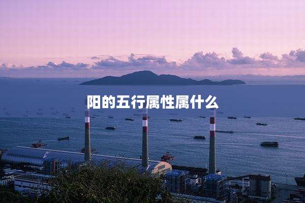 阳的五行属性属什么