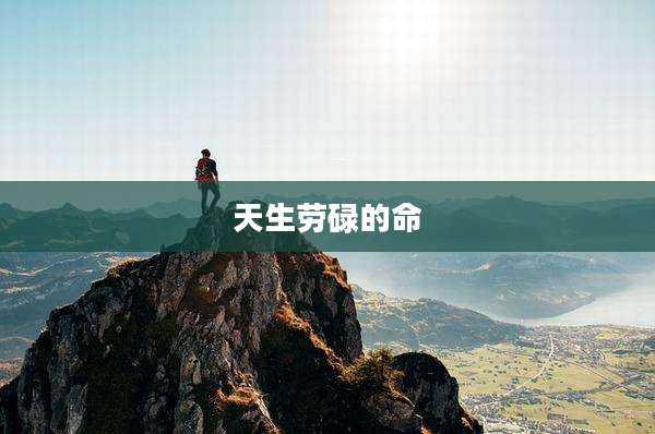 天生劳碌的命