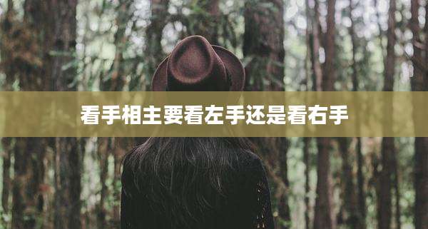 看手相主要看左手还是看右手