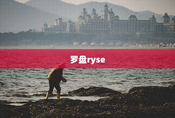 罗盘ryse