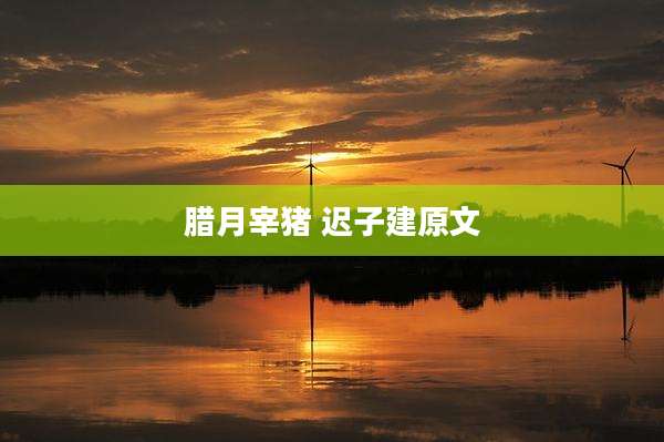 腊月宰猪 迟子建原文