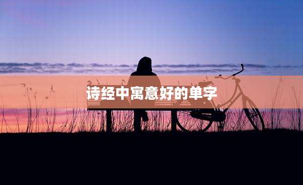 诗经中寓意好的单字