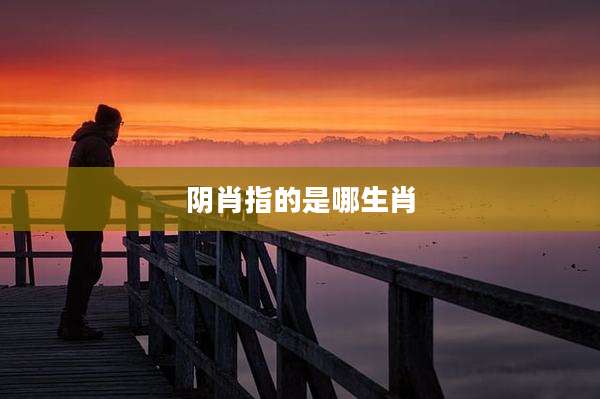 阴肖指的是哪生肖