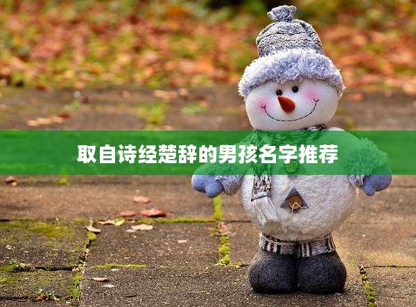 取自诗经楚辞的男孩名字推荐