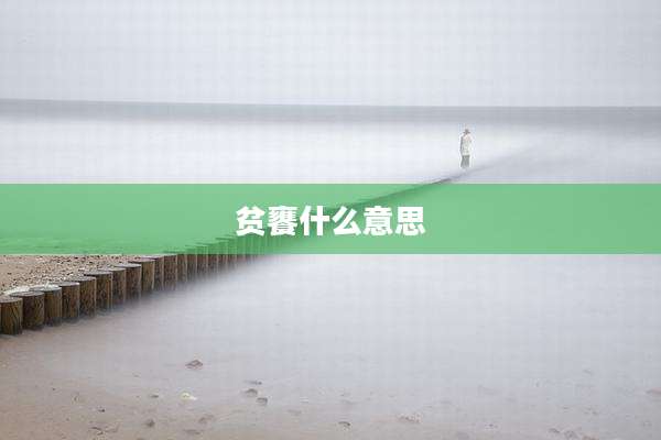 贫饔什么意思