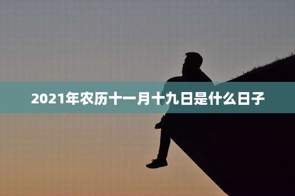 2021年农历十一月十九日是什么日子
