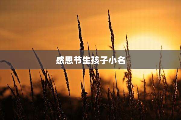 感恩节生孩子小名