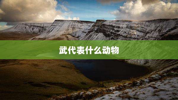 武代表什么动物