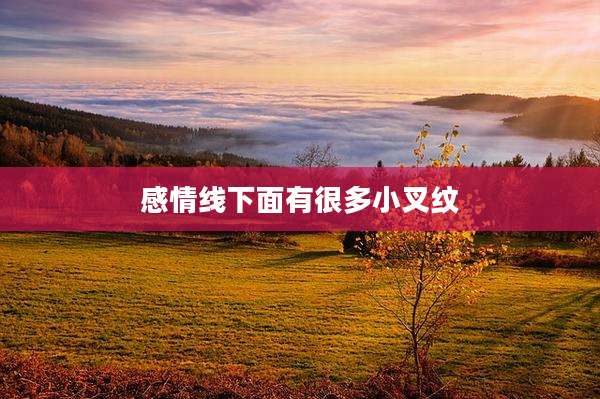 感情线下面有很多小叉纹