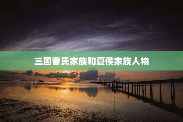 三国曹氏家族和夏侯家族人物