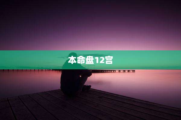 本命盘12宫