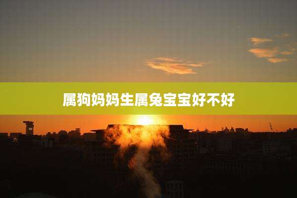 属狗妈妈生属兔宝宝好不好