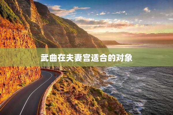 武曲在夫妻宫适合的对象